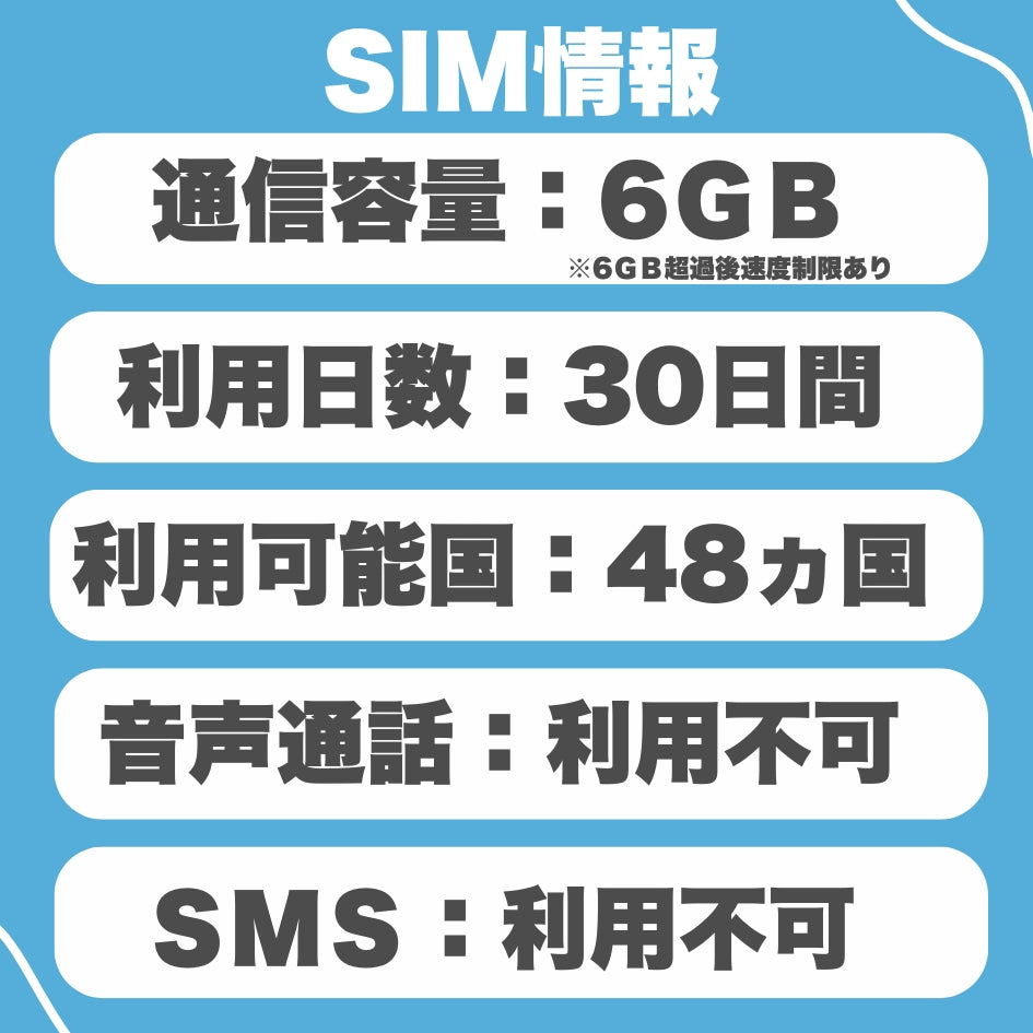 ヨーロッパ48ヵ国 物理SIM 利用期間30日データ容量6GB ヨーロッパ プリペイドSIM ローミングSIM　利用国：イタリア・フランス・イギリス・ドイツ・スペイン・フィンランド等